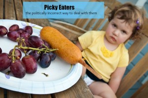 The Politically Incorrect Way to Deal with a Picky Eater