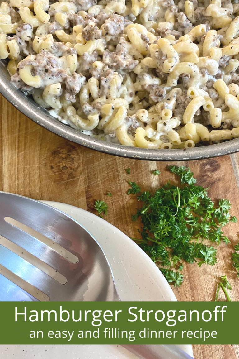 Hamburger Beef Stroganoff Recipe - Fractionated Living